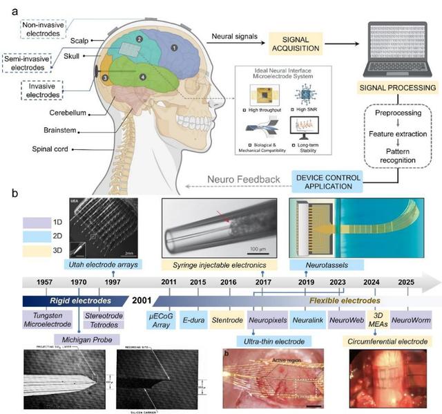 npj Biosensing：...