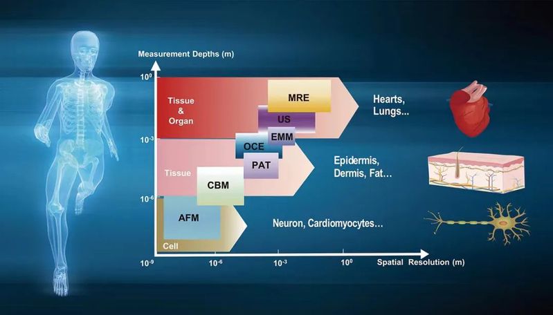 Microsystems & ...