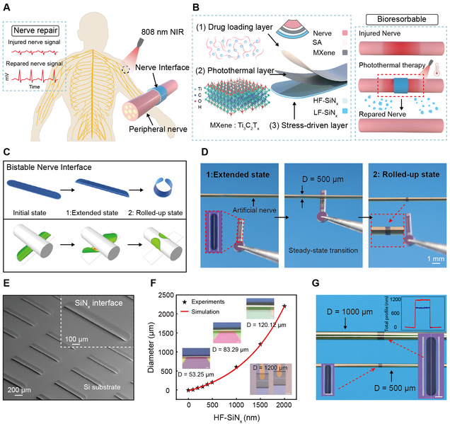PNAS：精密神经修复的无线自...