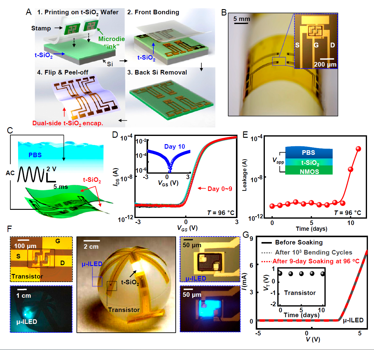 Flexible Bioelectronic Systems As Implantable Neural Interfaces For ...